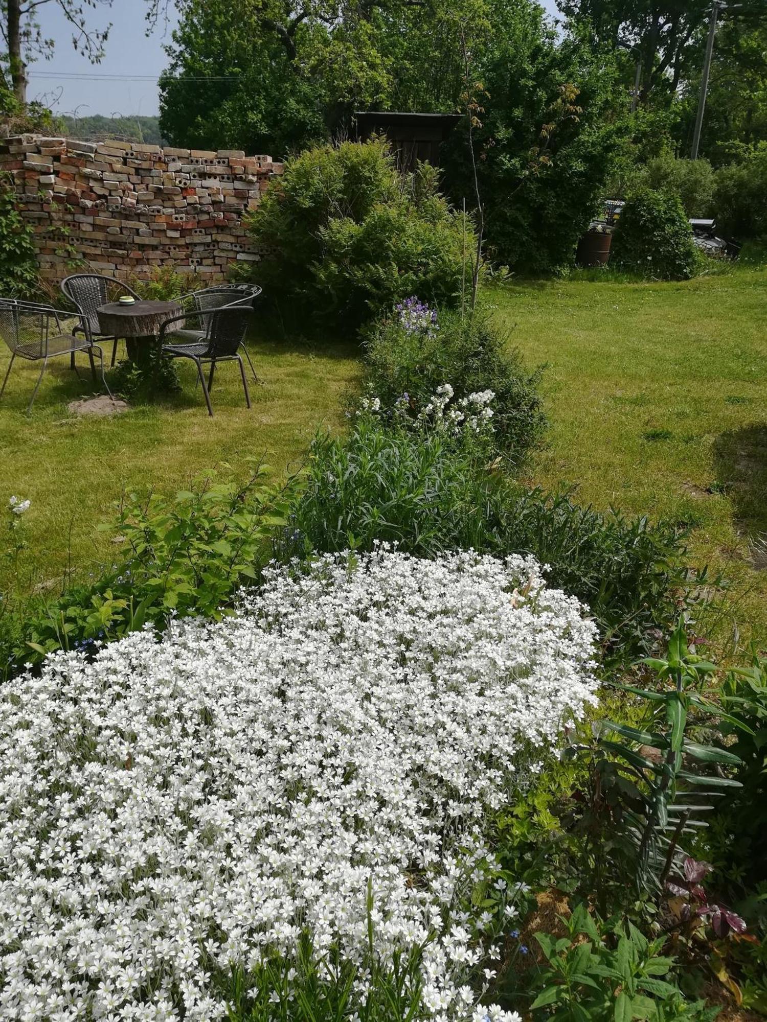 Ferien In Der Scheune Dettmannsdorf Esterno foto